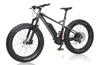 ELOM Fatbike Grizzly L 50cm